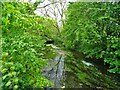 Kilnwick Beck