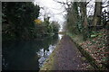 Wyrley & Essington Canal towards Wards Bridge