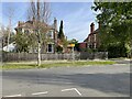 Houses along Cavendish Avenue