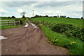H4857 : Muddy lane, Altanaveragh by Kenneth  Allen