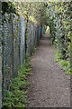 Bridleway to Tithepit Shaw