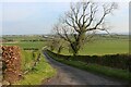 Treeswoodhead Road