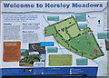TQ0754 : Horsley Meadows visitor display sign by Hugh Craddock