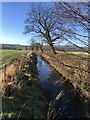 River Clwyd