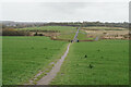 Path down to the River Rother