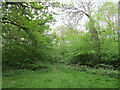 Path into woodland off Cottingham Road, Corby