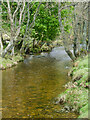 NR9450 : Glen Chalmadale river by Mick Garratt