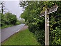 Habberley Valley Circular Walk along Hoarstone Lane