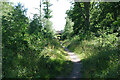 Path, Langshott Wood