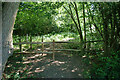 Path into Langshott Wood