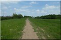 Path on Heslington East