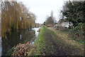 Wyrley & Essington Canal towards Bentley Wharf Bridge