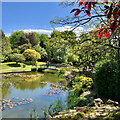 Lower lake, Burnby Hall Gardens