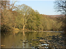 NY9939 : The River Wear upstream of the ford and stepping stones by Mike Quinn