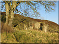 Ruined house by Crawleyside Bank (3)