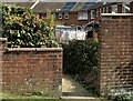 Camellia and rotary clothes line, Coronation Gardens, Battle