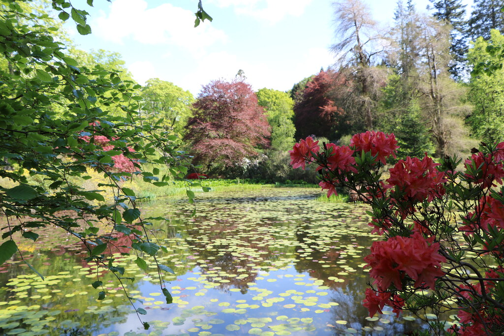 Pond At Bargany Gardens © Billy Mccrorie :: Geograph Britain And Ireland