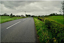 H5068 : Donaghanie Road by Kenneth  Allen