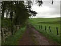 Farm road near Craigend Farm