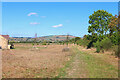 Field near Bishops Cleeve