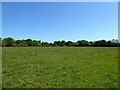 Barn Meadow