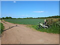 Farm track in a field