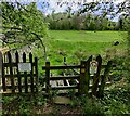 Stile on the edge of Breidden Forest