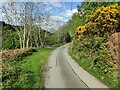 Lane near Middletown Hill