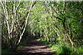 Old railway near Bilton