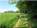 Llwybr ceffyl ger Blaen Pant / Bridleway near Blaen Pant