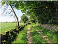 Llwybr ceffyl ger Blaen Pant / Bridleway near Blaen Pant