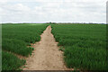 Footpath to Langwith Road