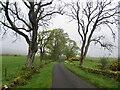 Road in low cloud, Muirhead