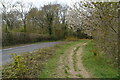 Footpath by Farleigh Rd