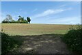 Field beside Amotherby Lane