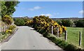 Country lane at Pennerley