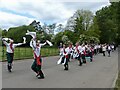 Folk Festival 2022, Tredegar House (5)