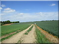 Farm track near Cosford Hall