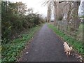 SX9981 : Foot & Cycle Path in Exmouth by John P Reeves