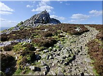 SO3698 : Shropshire Way and Manstone Rock on the Stiperstones by Mat Fascione