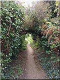 SS4684 : Path past the youth hostel, Porth Einon by Rudi Winter