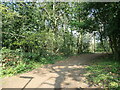 SU4613 : Woodland path to Blendworth Lane, Harefield by Christine Johnstone