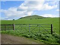 View towards Gallow Law, Skirling