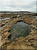 SS4684 : Rock pools near Porth Einon by Rudi Winter
