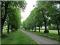 Avenue, Harleston Green