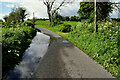 H3384 : Water lying along Kilstrule Road by Kenneth  Allen