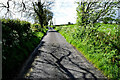 H3384 : Tree shadows along Kilstrule Road by Kenneth  Allen