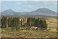 NC6937 : Forestry Operations in Strath Naver Forest, Sutherland by Andrew Tryon
