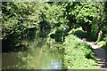 Below Lock No. 4, Basingstoke Canal