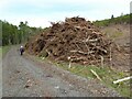 NU1311 : Huge heap of brash from clear felling Oxen Wood by Russel Wills